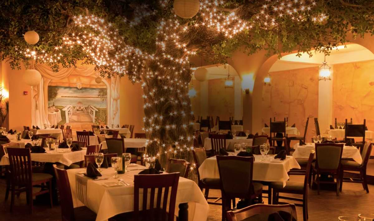 Warm, romantic restaurant interior with a large tree wrapped in twinkling string lights at the center, surrounded by white tablecloth-covered tables, wooden chairs, and soft golden lighting in Panama City Beach.